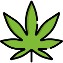 марихуанна